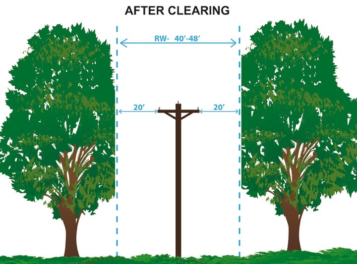 tree trimming